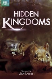 Poster of Hidden Kingdoms image size 1400x2100
