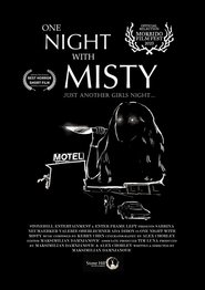 One Night with Misty