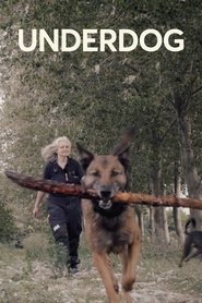 poster Underdog