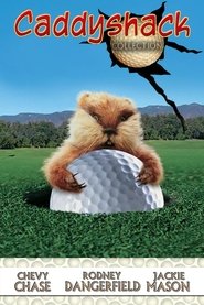 Poster image size 667x1000