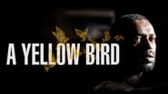 A Yellow Bird wallpaper 