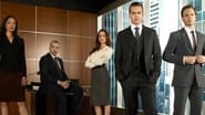 Suits Webisodes  