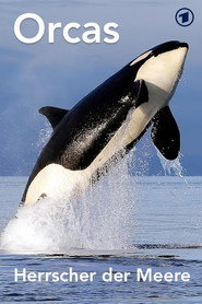 Orcas - Herrscher der Meere poster