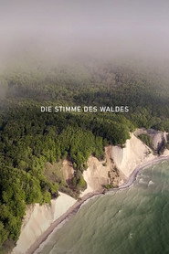 Die Stimme des Waldes