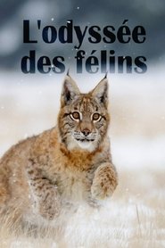 poster The Odyssey Of Felines
