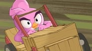 Angry Birds : Un été déjanté season 2 episode 15