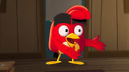 Angry Birds : Un été déjanté season 1 episode 16