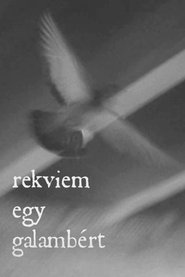 poster Rekviem egy galambért