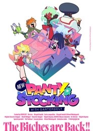 New PANTY & STOCKING with GARTERBELT . 