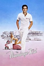 The Flamingo Kid 1984 123movies