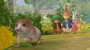 Pierre Lapin season 2 episode 27