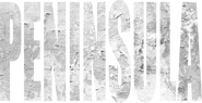 Logo of Peninsula image size 1162x594