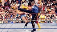 WWE SummerSlam 1990 wallpaper 