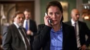 Borgen, une femme au pouvoir season 2 episode 8