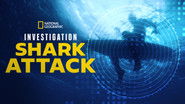 Backdrop of Investigation Shark Attack image size 3840x2160