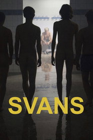 poster Swans