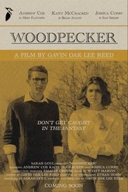 poster Woodpecker