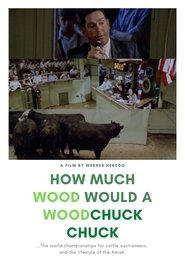 poster How Much Wood Would a Woodchuck Chuck