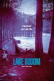 Poster of Lake Bodom image size 699x1049