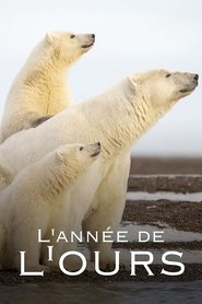 poster L'Année de l'ours