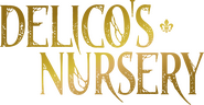 Logo of Delico's Nursery image size 1197x623