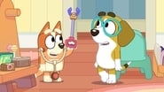 Bluey season 1 episode 18