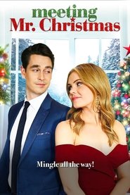 Poster of Meeting Mr. Christmas image size 1067x1600