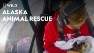 Backdrop of Alaska Animal Rescue image size 1920x1080