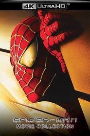 Poster image size 1200x1800