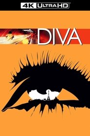 Poster of Diva image size 911x1367