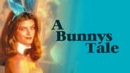 A Bunny's Tale wallpaper 