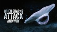 Backdrop of When Sharks Attack... and Why image size 3840x2160