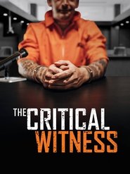 poster The Critical Witness