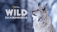 Destination Wild Scandinavie  