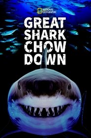 poster Great Shark Chow Down