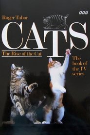 Poster of Cats image size 932x1398