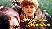 Backdrop of My Side of the Mountain image size 1920x1080