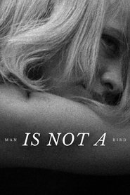 poster Man Is Not a Bird
