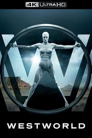 Poster of Westworld image size 2000x3000