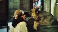 Won Ton Ton: The Dog Who Saved Hollywood wallpaper 