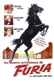 poster Fury