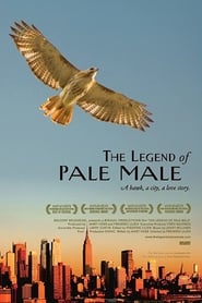 The Legend of Pale Male