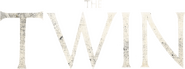 Logo of The Twin image size 971x360