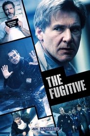 Poster of The Fugitive image size 1400x2100