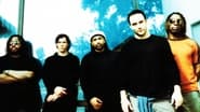 Dave Matthews Band - Rockpalast wallpaper 