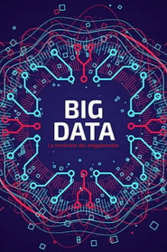 Big Data - La révolution des mégadonnées poster