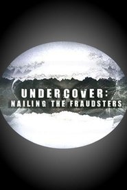 Poster of Undercover: Nailing the Fraudsters image size 500x750