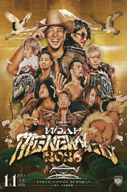 NOAH: The New Year 2026