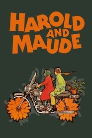 Poster of Harold and Maude image size 800x1200