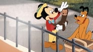 Mickey et le Phoque wallpaper 